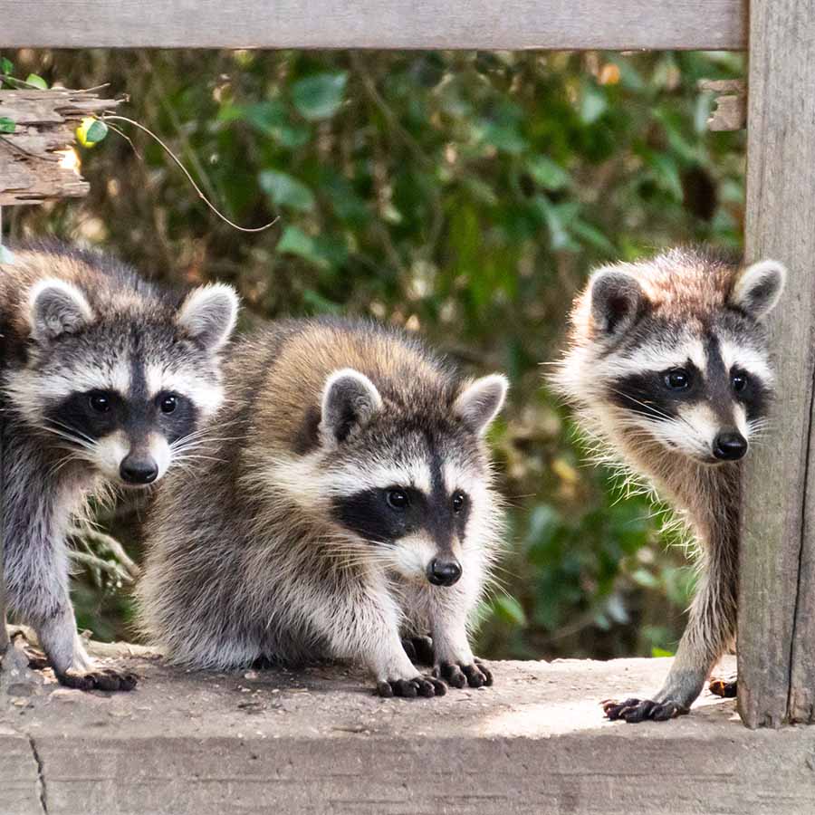 Mom & Kids